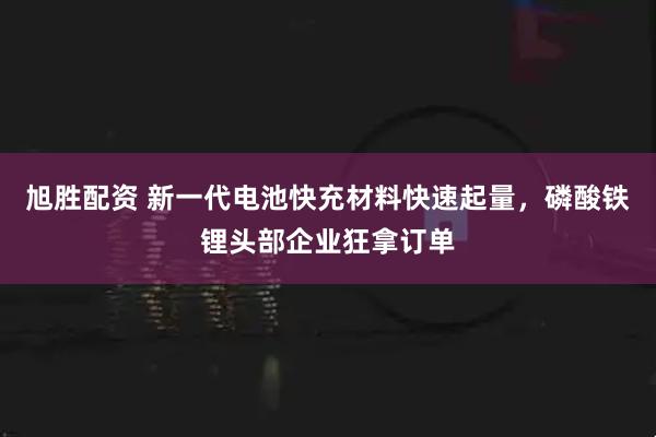 旭胜配资 新一代电池快充材料快速起量，磷酸铁锂头部企业狂拿订单