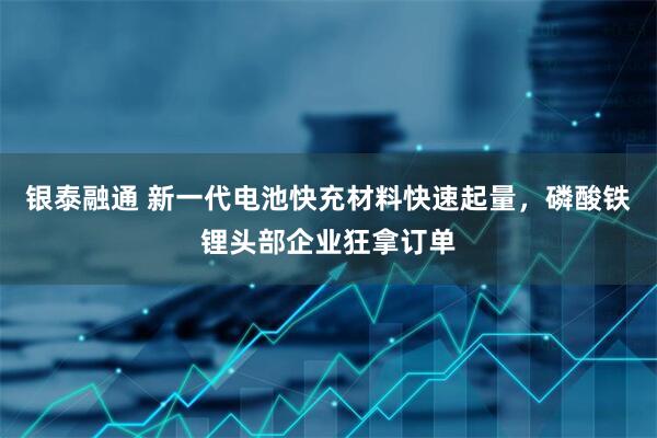 银泰融通 新一代电池快充材料快速起量，磷酸铁锂头部企业狂拿订单
