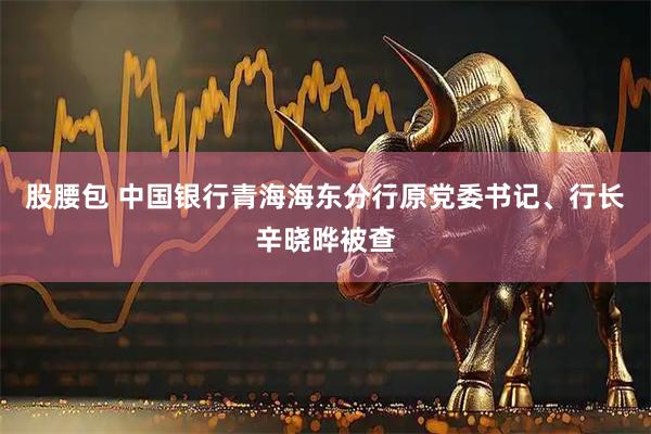股腰包 中国银行青海海东分行原党委书记、行长辛晓晔被查