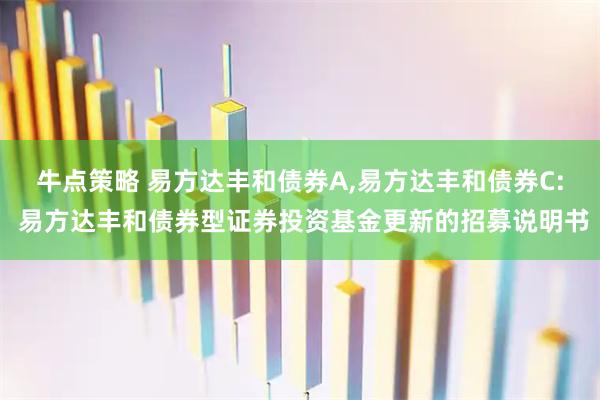 牛点策略 易方达丰和债券A,易方达丰和债券C: 易方达丰和债券型证券投资基金更新的招募说明书