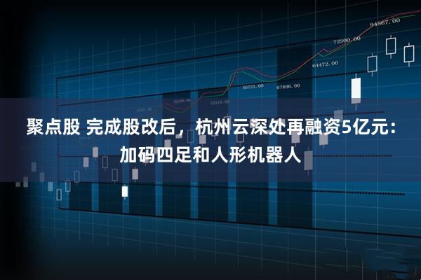 聚点股 完成股改后，杭州云深处再融资5亿元：加码四足和人形机器人