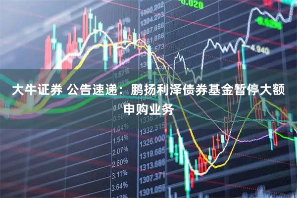 大牛证券 公告速递：鹏扬利泽债券基金暂停大额申购业务
