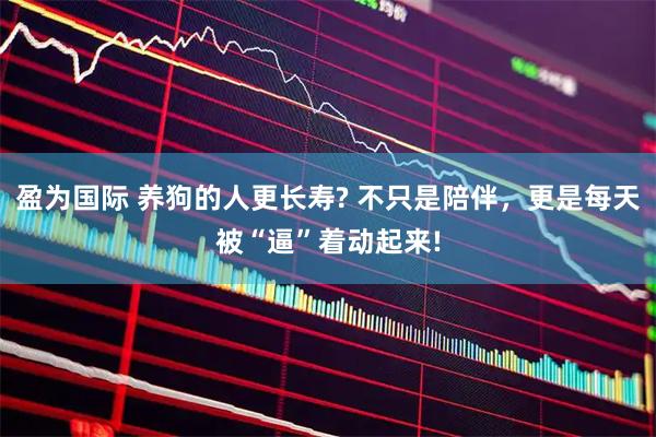 盈为国际 养狗的人更长寿? 不只是陪伴，更是每天被“逼”着动起来!